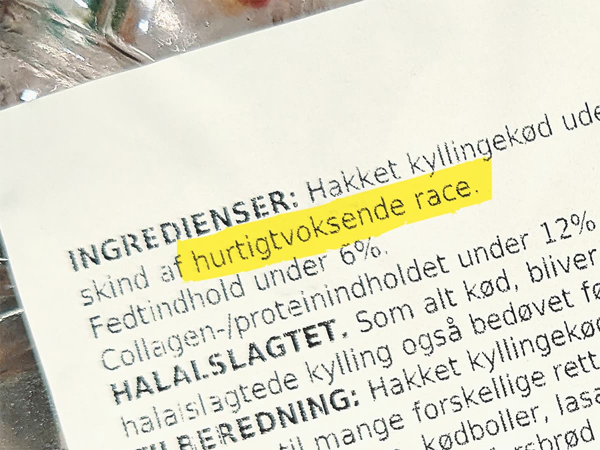 Varedeklaration på en pakke hakket kyllingekød. I ingredienslisten står »… af hurtigtvoksende race«, markeret med gult.