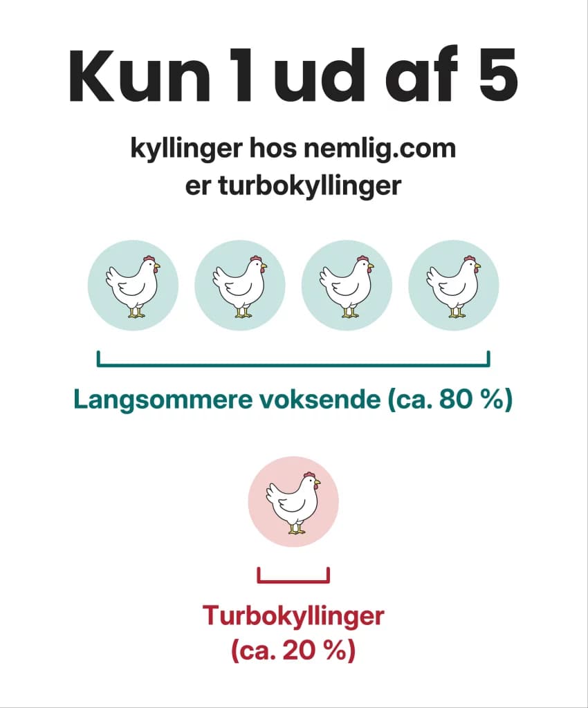 Kun 1 ud af 5 kyllinger hos nemlig.com er turbokyllinger: ca. 80 % er langsommere voksende og ca. 20 % turbokyllinger.
